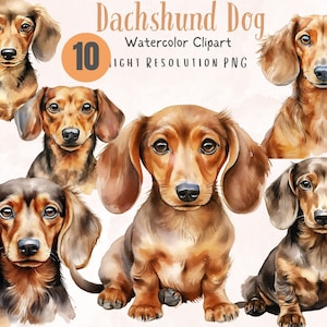 Może przedstawiać: Dziesięć akwarelowych ilustracji psów rasy Dachshund w różnych pozach. Psy są brązowe i beżowe z czarnymi nosami i oczami. Ilustracje są plikami PNG o wysokiej rozdzielczości.