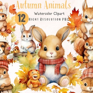 Autumn Cute Baby Animals | Fall Animal PNG | Fall Leaves |  Watercolor Clipart Bundle  , PNG  format instant Digital Download,  Illustration