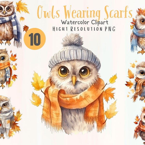 Owls Wearing Scarfs , Fall Leaves  Autumn  Watercolor Clipart Bundle  , PNG  format instant Digital Download,  Illustration