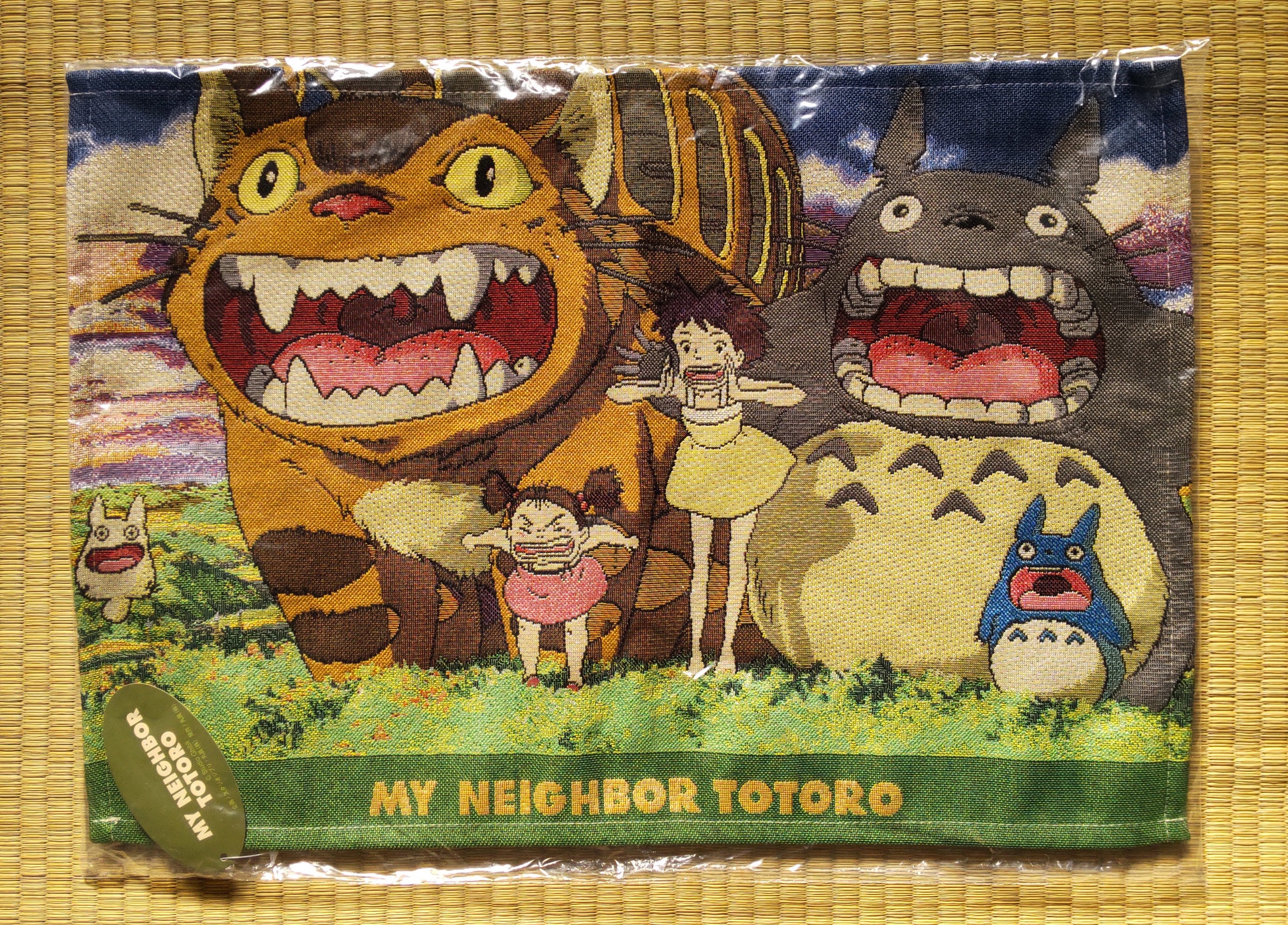 Totoro Wallet For Girl New 2022