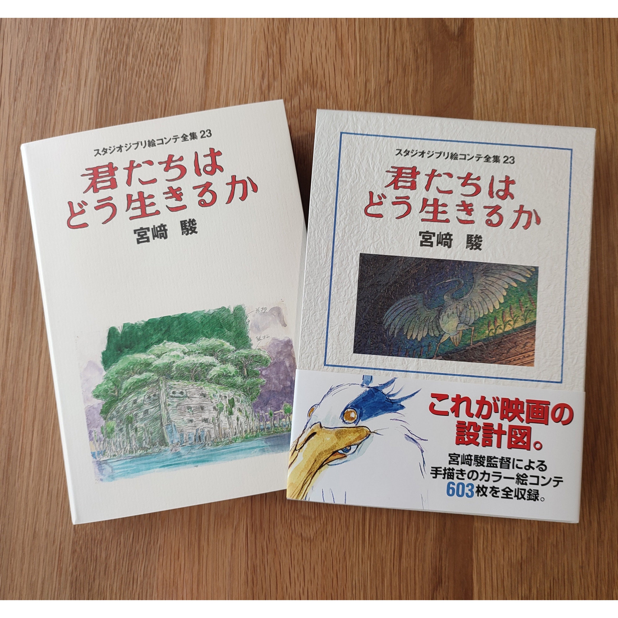 Storyboard original Ghibli Le Garçon et le héron Comment vivez-vous Livre  d'art peinture japonaise Cadeau Anime Studio Ghibli -  France