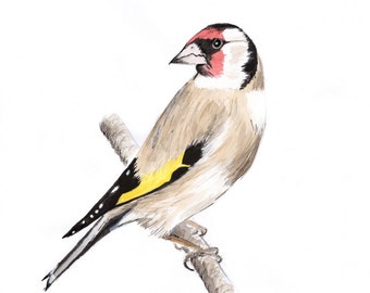 Goldfinch bird recycled greetings card