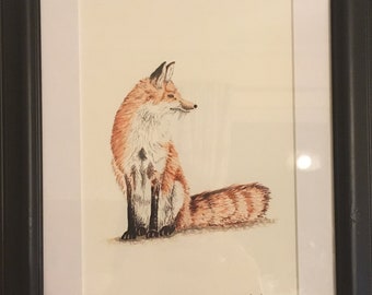 Sitting fox giclee print - A4 in black wooden frame (slight damage to frame)