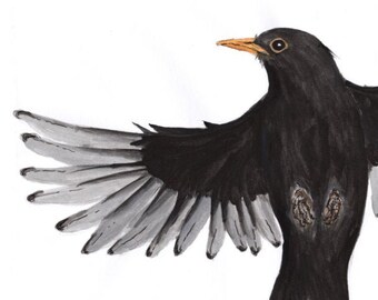 Blackbird recycled greetings card