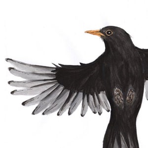 Cartão de felicitações reciclado Blackbird