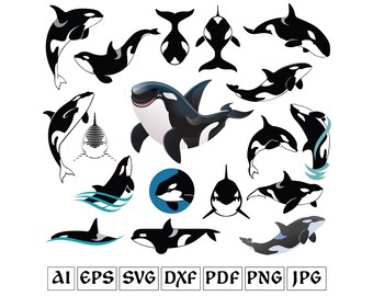 Download Orca Svg Etsy