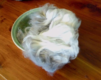 Soft English Angora Wool Fiber with 6" staple. Hand Harvested & Beautiful for Hand Spinning. Lovely pure white fiber. .