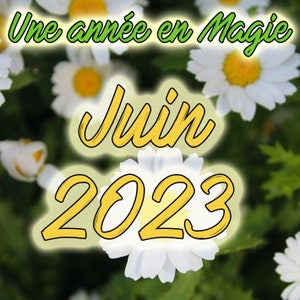 Un año en Magic - Junio 2023