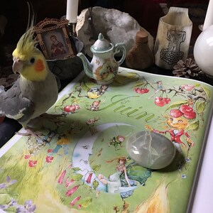 A Year in Magic: June 2020