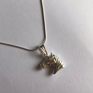 Puede incluir: Un collar de cadena de plata con un colgante de cabeza de caballo.