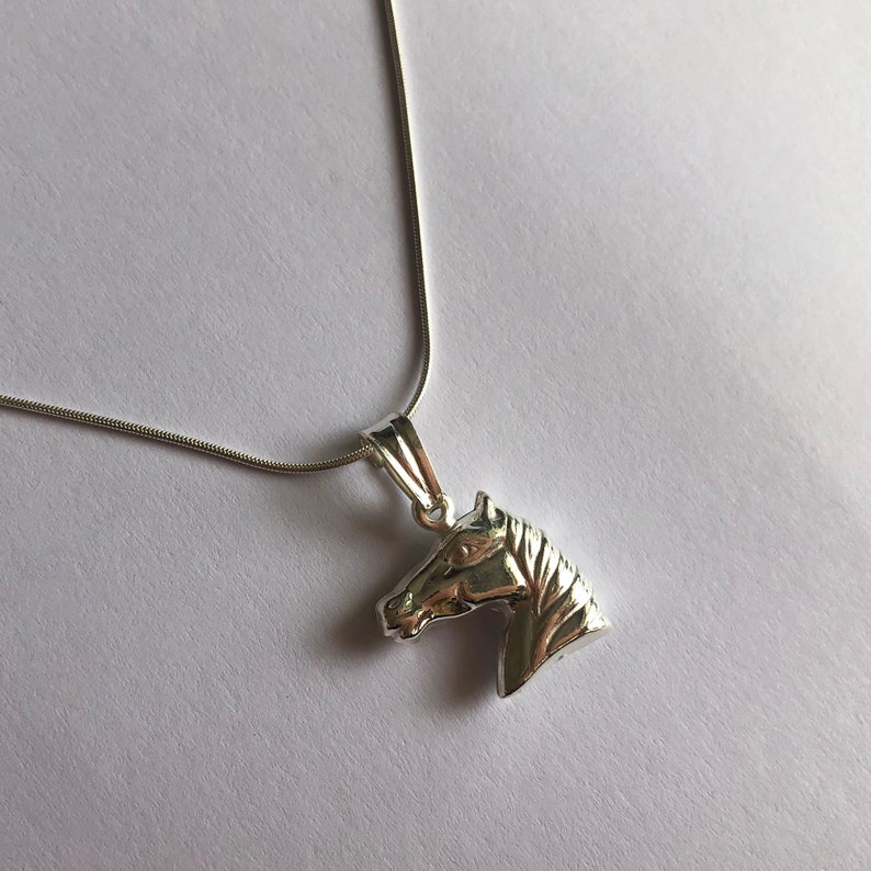Puede incluir: Un collar de cadena de plata con un colgante de cabeza de caballo.