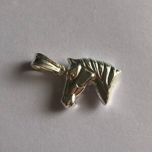 Puede incluir: Encanto de plata en forma de cabeza de caballo. La cabeza del caballo est&aacute; mirando hacia la derecha. El encanto tiene un bucle en la parte superior para sujetarlo a un collar o pulsera.