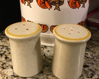 Hearthside Garden Festival Salt and Pepper Shakers Stoneware 1970s