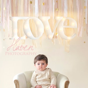 Digital Photography Backdrop, Valentine Love