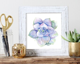 Succulent Watercolor Print