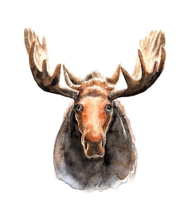 Moose painting Art print Rustic Art | Animal Painting Moose Watercolor Print Woodland Theme Animal print Nursery Art