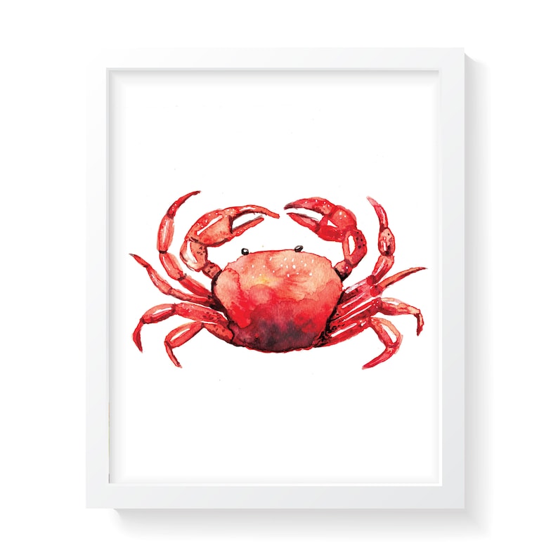 May include: Watercolor painting of a red crab with detailed claws and body, set against a white background. The crab is framed in a white rectangular frame, creating a clean and simple aesthetic. The artwork captures the crab's features.