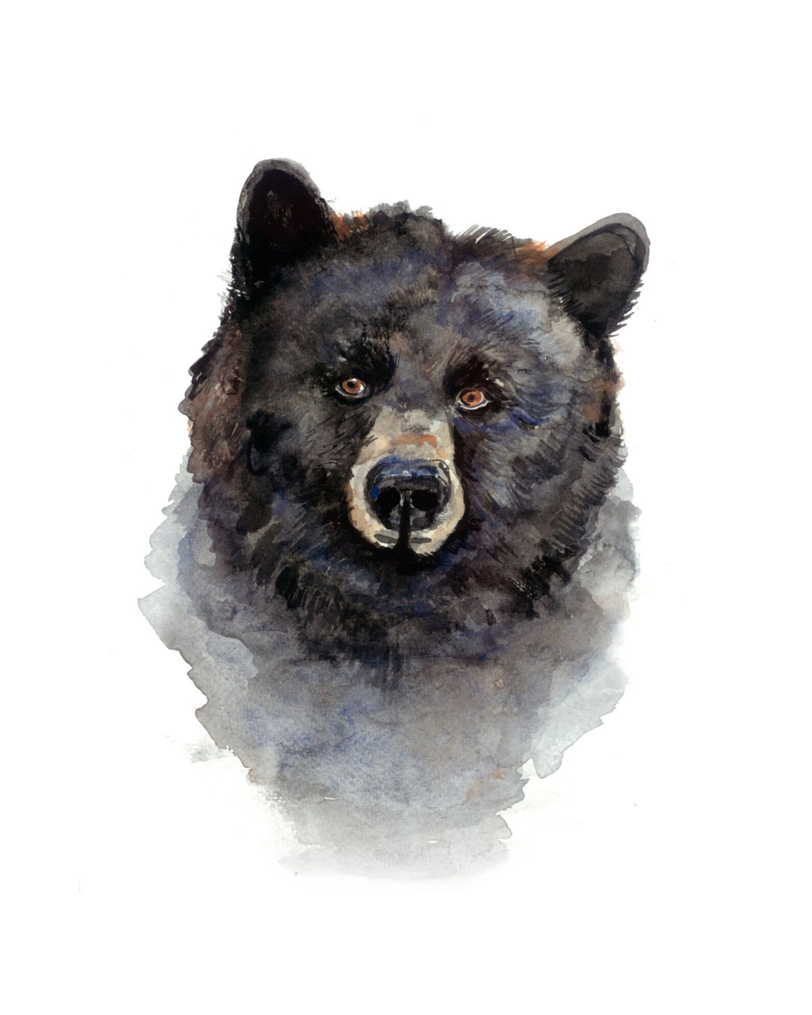 Black Bear Watercolor Print Bear Artwork Black Bear Art Etsy