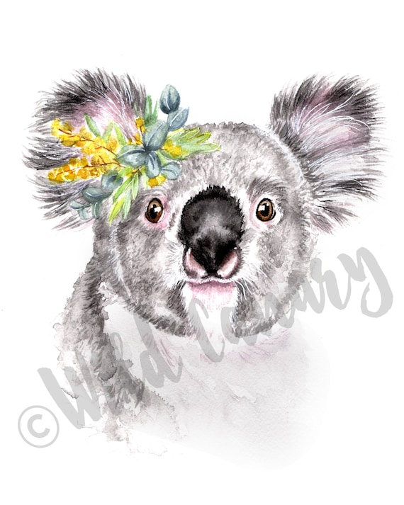 Koala Painting