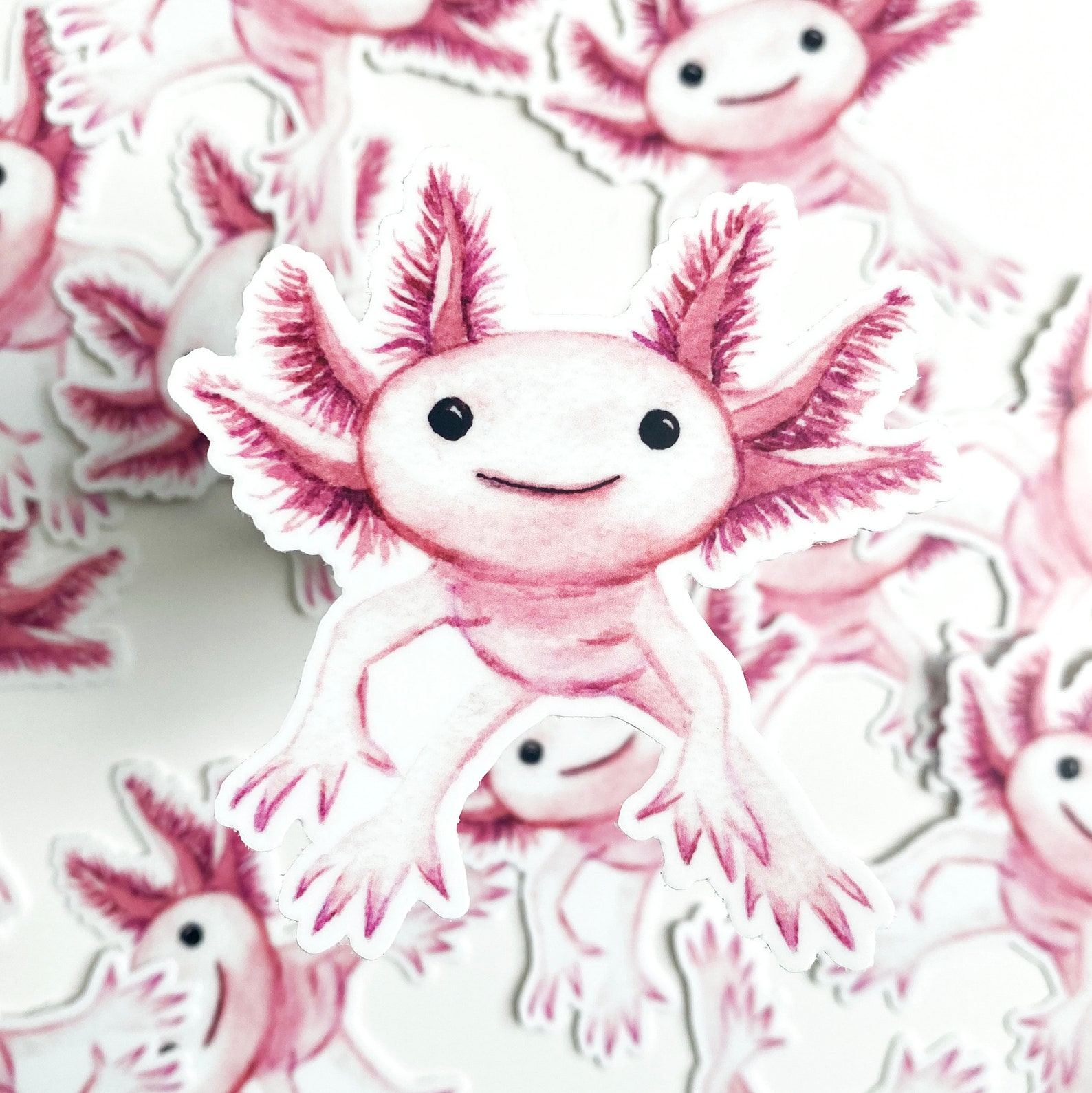 Axolotl Sticker Axolotl Lover Axolotl Gift Cute Sticker Etsy Canada