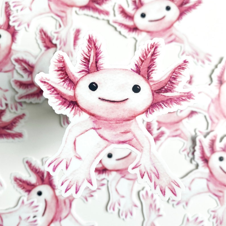 Cute Axolotl Sweatshrt, Axolotl Lover Gft Shrt, Kawa Axolotl
