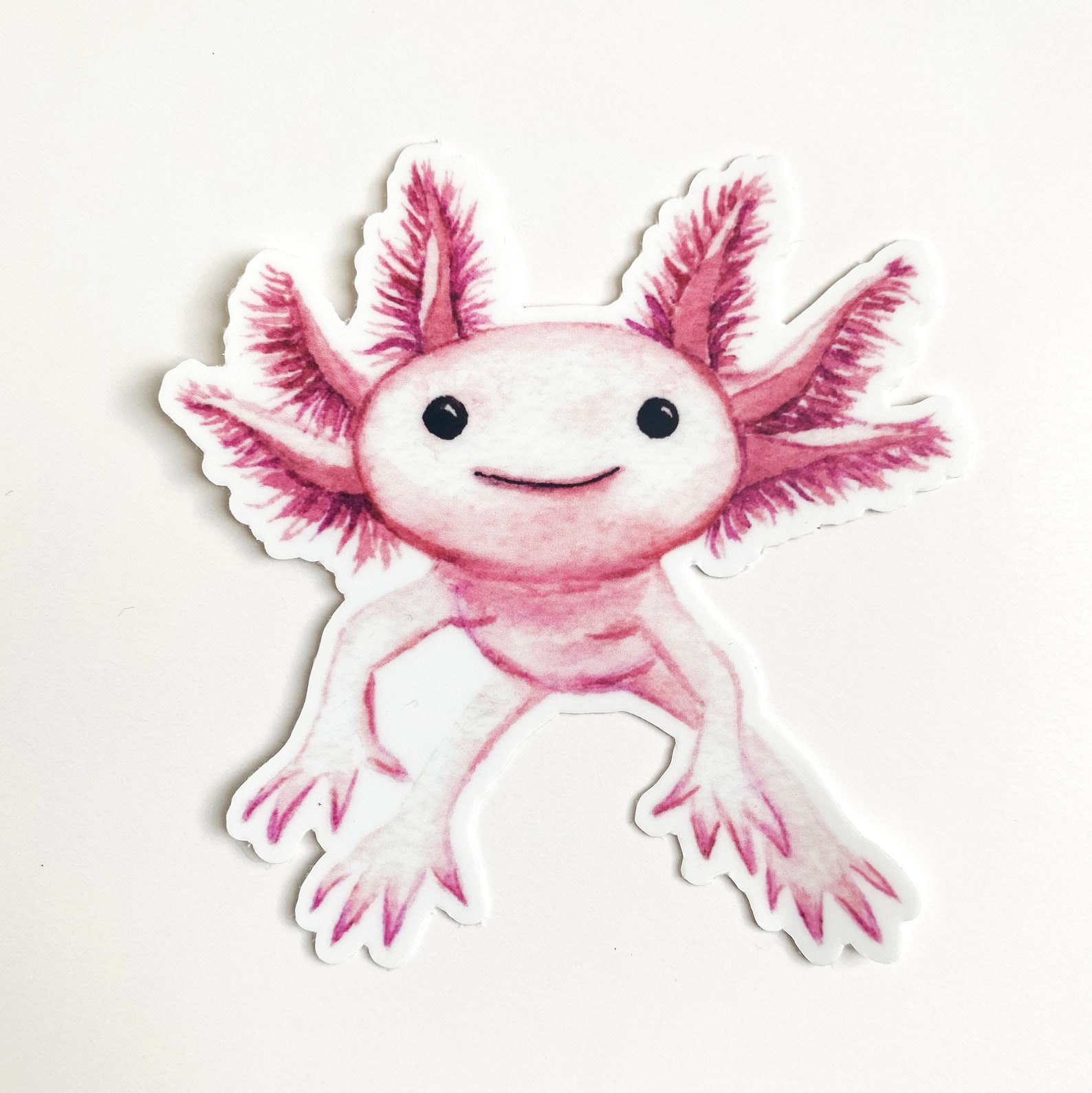 Axolotl Sticker Axolotl Lover Axolotl Gift Cute Sticker Etsy Canada