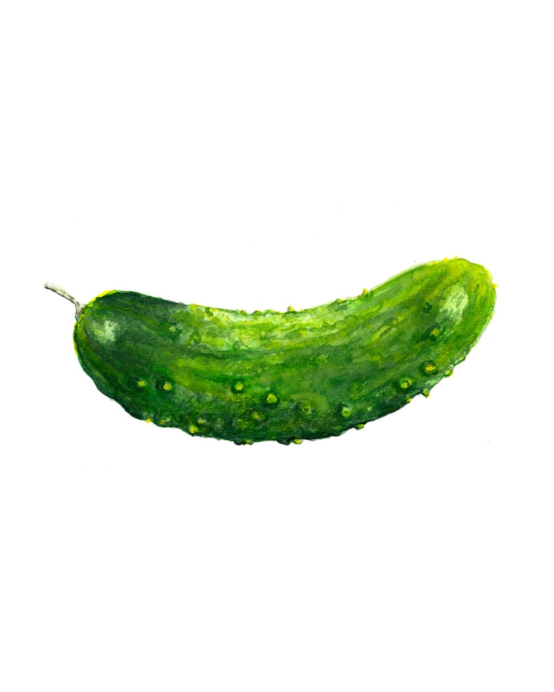Pickle Watercolor Print Pickle Art Pickle Watercolor Pickle Etsy