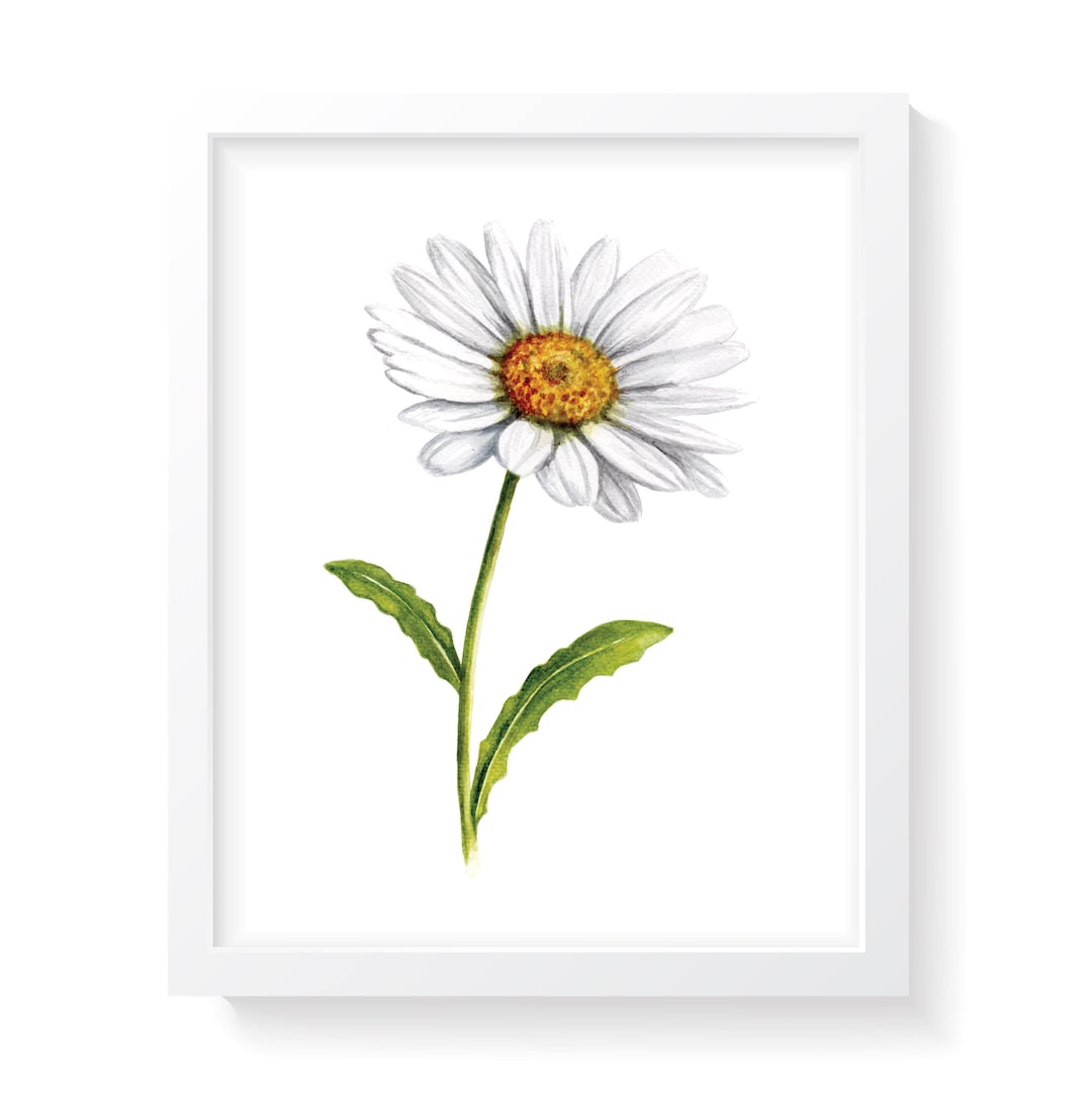 PRINTABLE Daisy Watercolor INSTANT DOWNLOAD, Daisy Art, Daisy