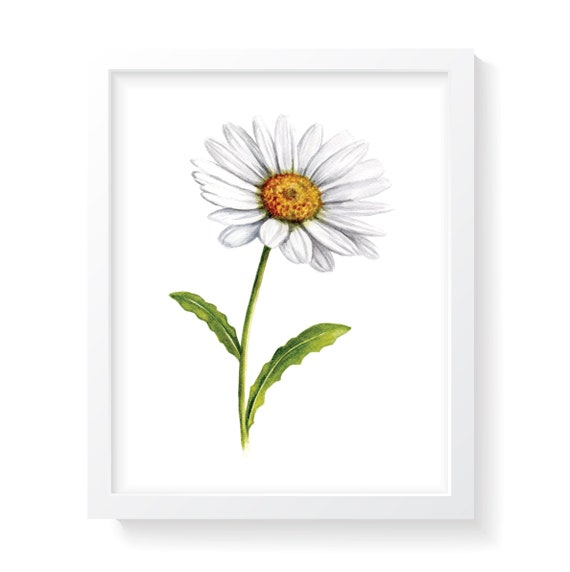 PRINTABLE Daisy Watercolor INSTANT DOWNLOAD, Daisy Art, Daisy