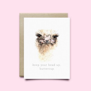 Carte de vœux d’autruche « Gardez la tête haute, buttercup » | Carte de sympathie | Carte Cheer Up | Carte aquarelle | Just Because Card - France | Obtenez well card