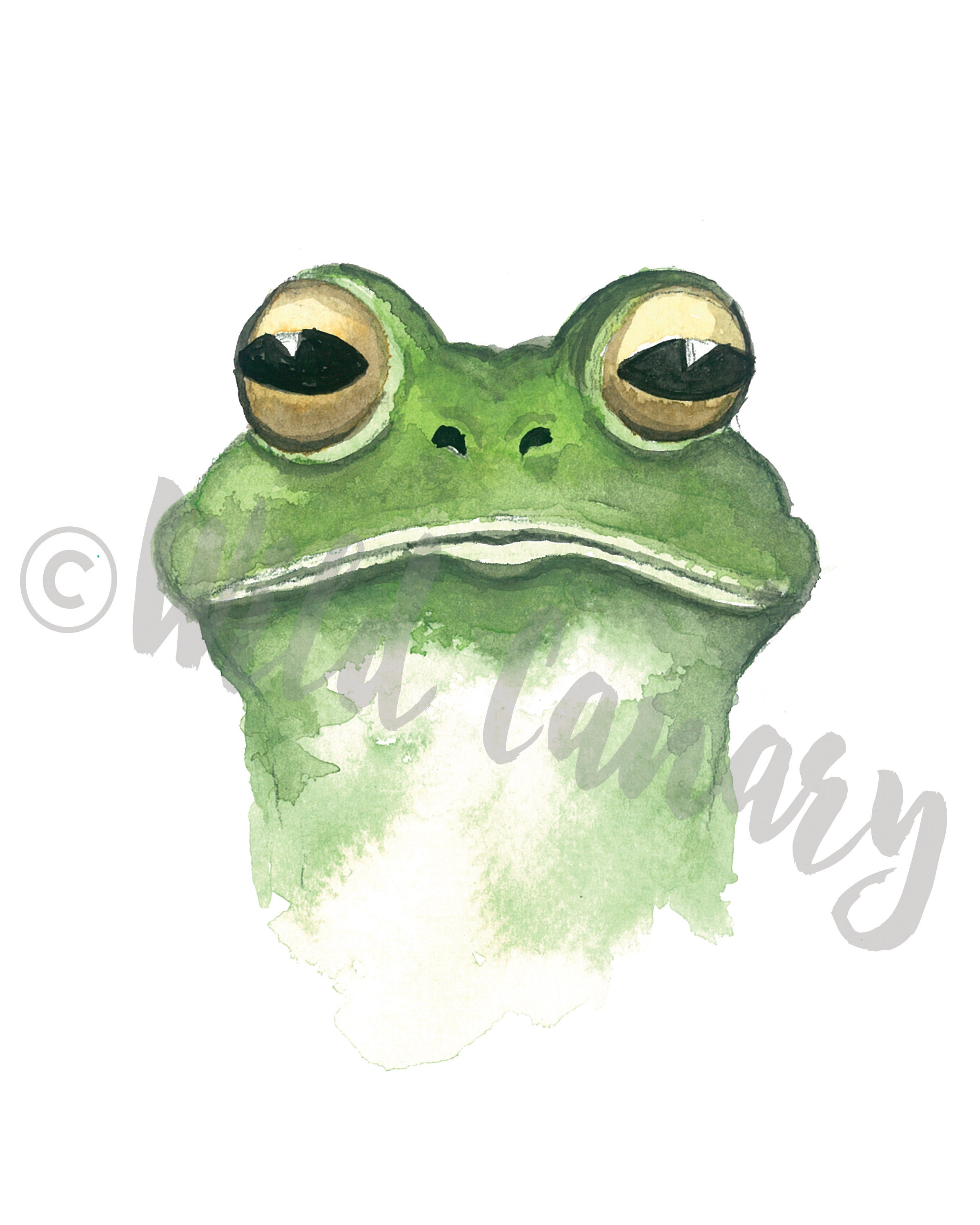 PRINTABLE Frog Wall Art Frog Printable Frog Print Frog Etsy