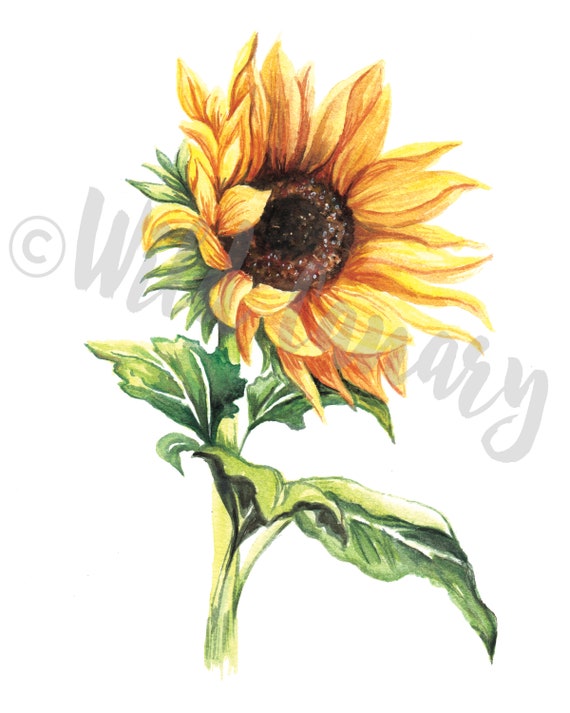 Sunflower Watercolor Print. Sunflower Art. Sunflower Painting. | Etsy