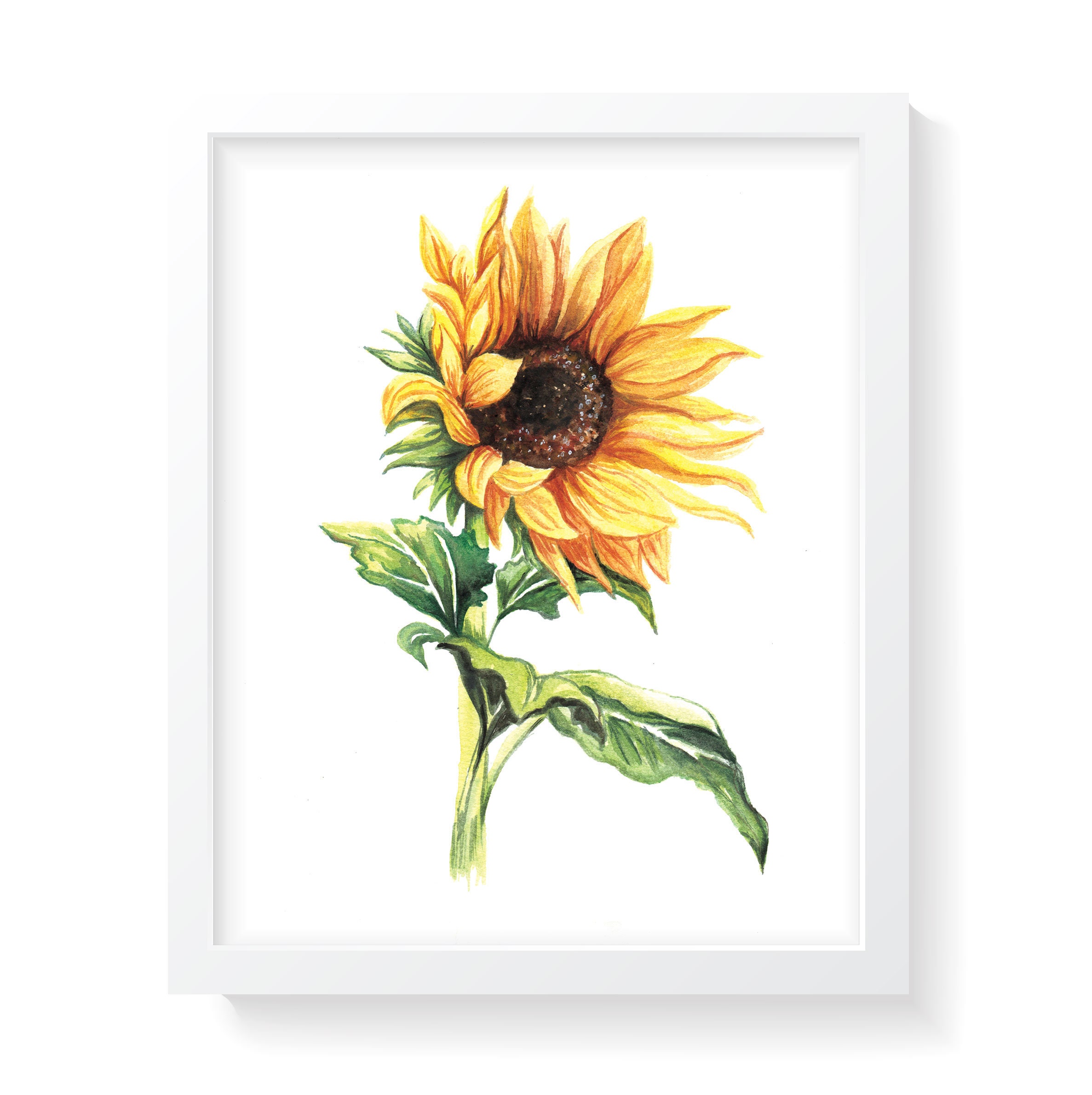 Sunflower Watercolor Print. Sunflower Art. Sunflower Painting.  Etsy