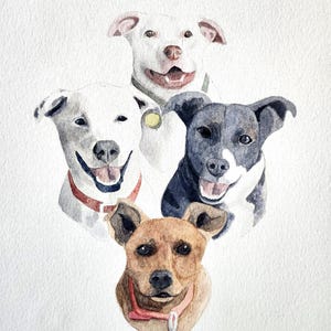 Ritratto di animale domestico dipinto a mano con acquerello, per celebrare un momento speciale, compleanno, matrimonio, pensionamento, anniversario, dipinto su commissione