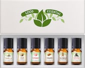 Winter Essential Premium Grade Fragrance Oil Set of 6 - Scented Oils - 5ml - Great for Candle Making, Soap Making, Slime, Diffusers