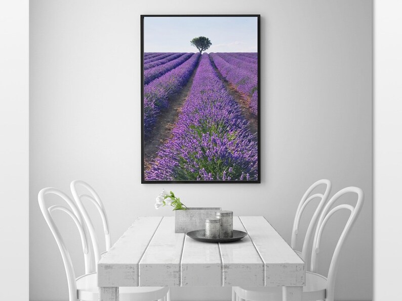 Provence France Lavender Printable Lavender Wall Art French Lavender Lavender Bedroom Art Lavender Photography Lavender Field Print