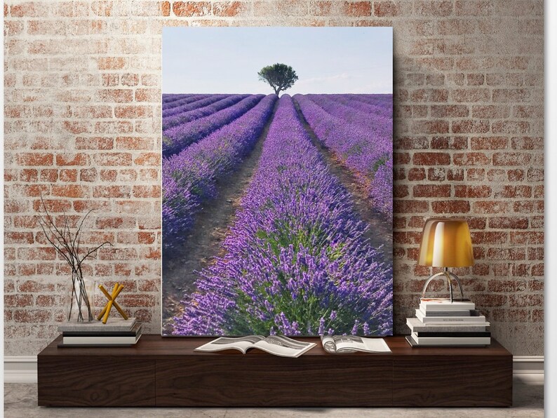 Provence France Lavender Printable Lavender Wall Art French Lavender Lavender Bedroom Art Lavender Photography Lavender Field Print