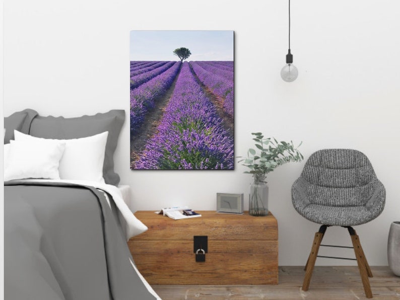 Provence France Lavender Printable Lavender Wall Art French Lavender Lavender Bedroom Art Lavender Photography Lavender Field Print