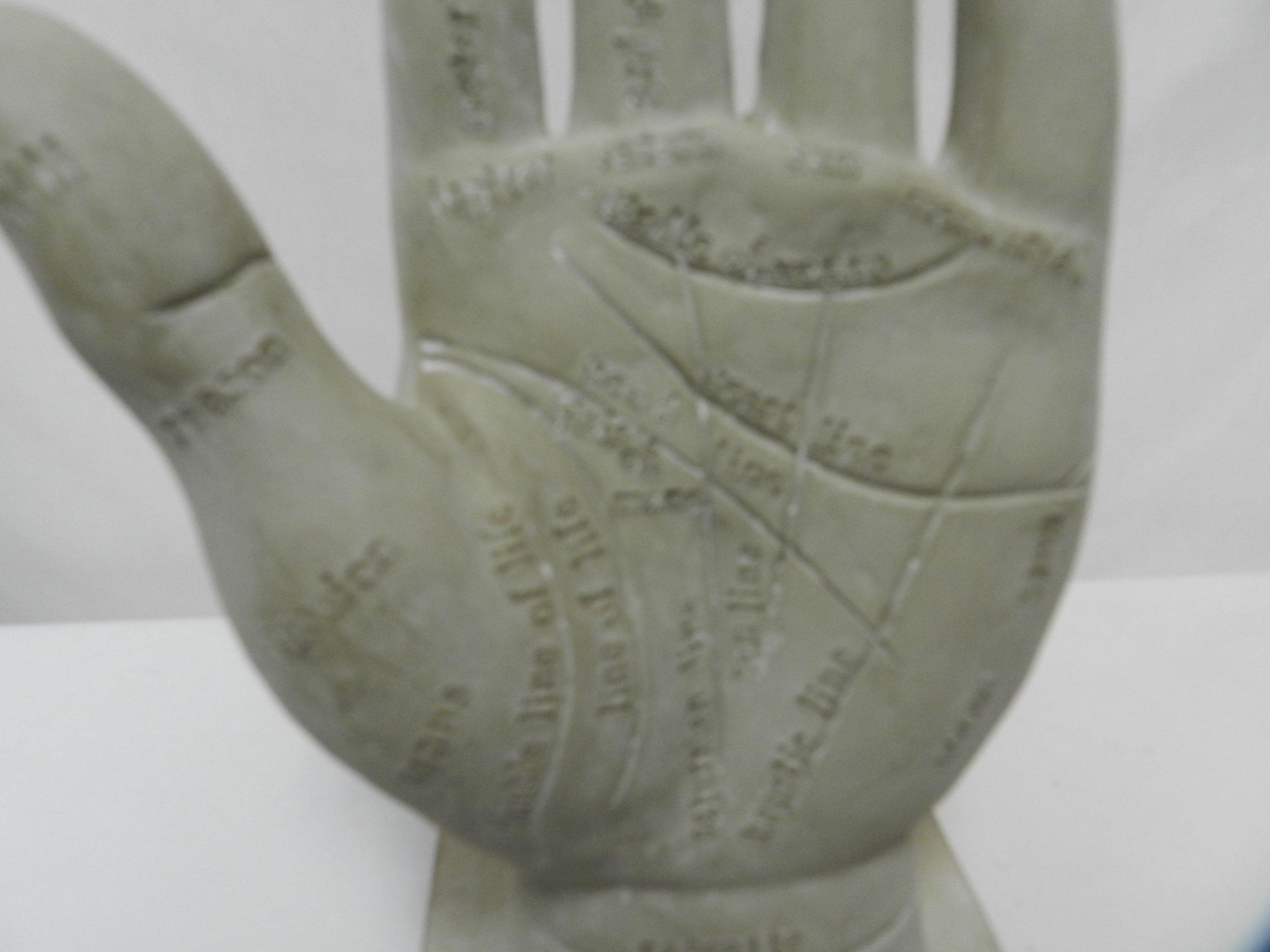 Palm Reading Rascette Palmistry Hand Art Work Figurine Statue Plaster ...