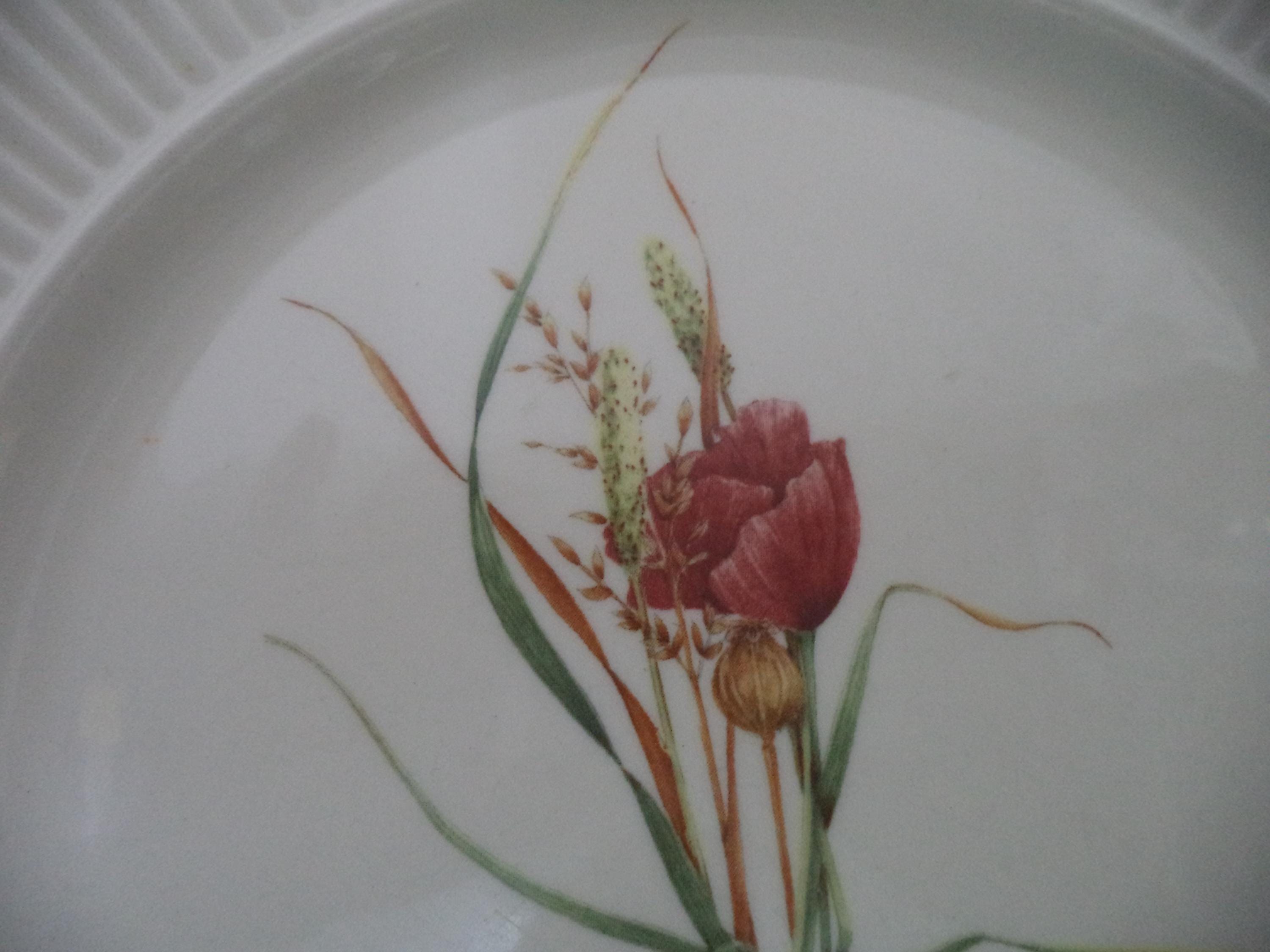 Wedgwood Queen's Ware Posy Edme Dinner Plate Set 7 Ceramic Dish