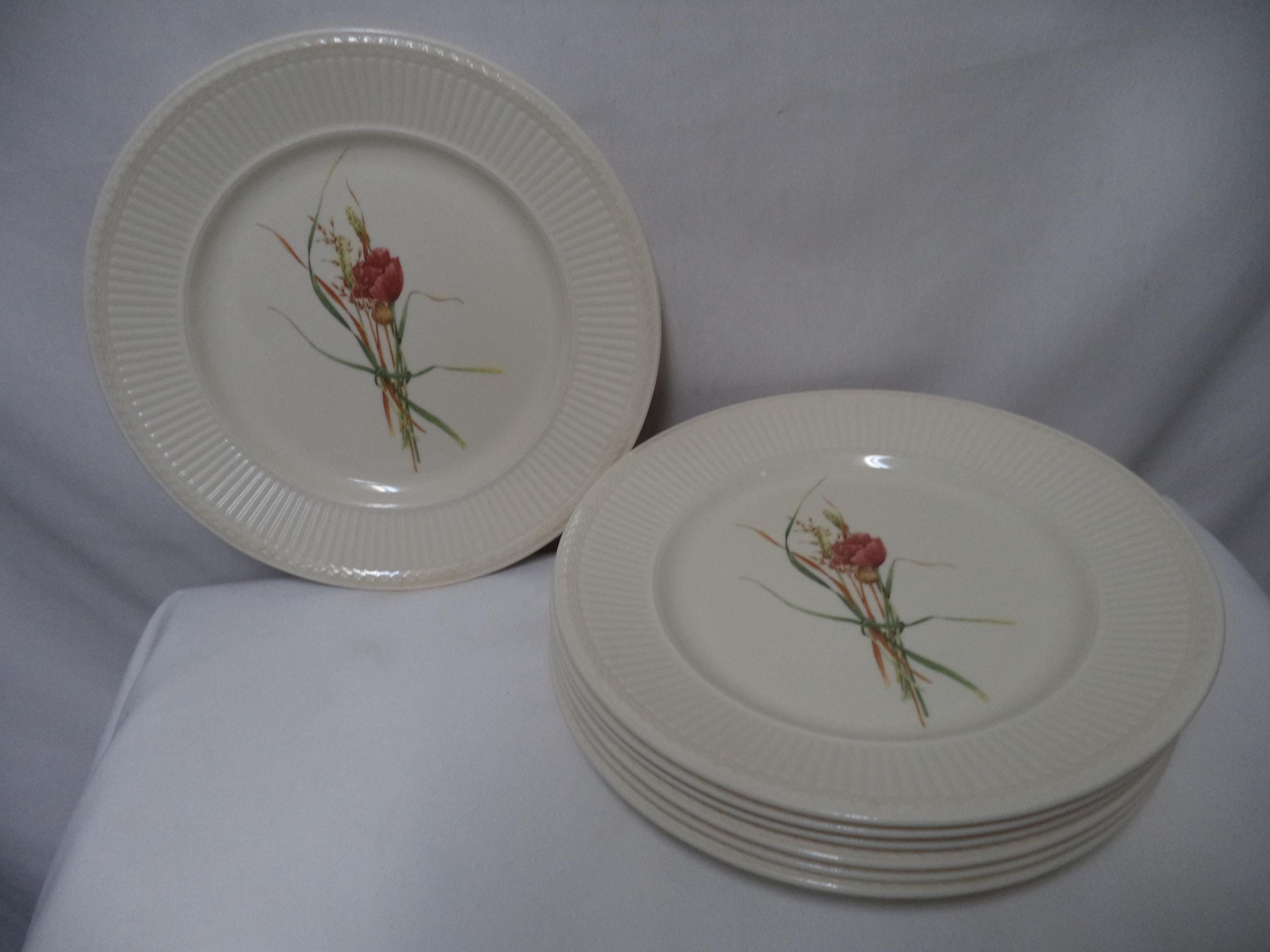 Wedgwood Queen's Ware Posy Edme Dinner Plate Set 7 Ceramic Dish