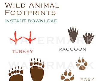 Descarga instantánea de huellas imprimibles de animales salvajes