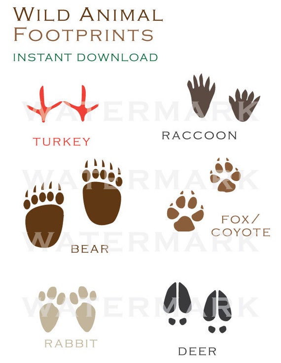 Wild Animal Printable Footprints Instant Download Etsy