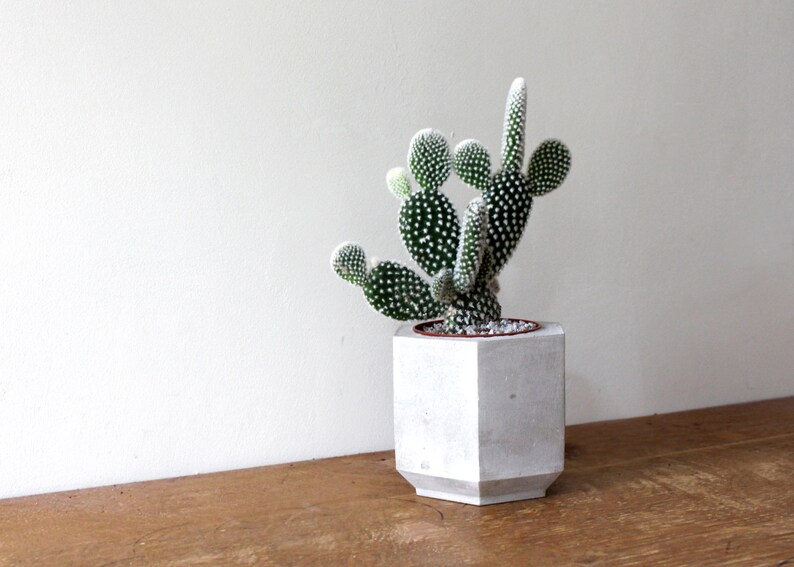 Medium Hexagonal Concrete Planter perfect for a Cactus or Succulent Plant Concrete Plant Pot Handmade