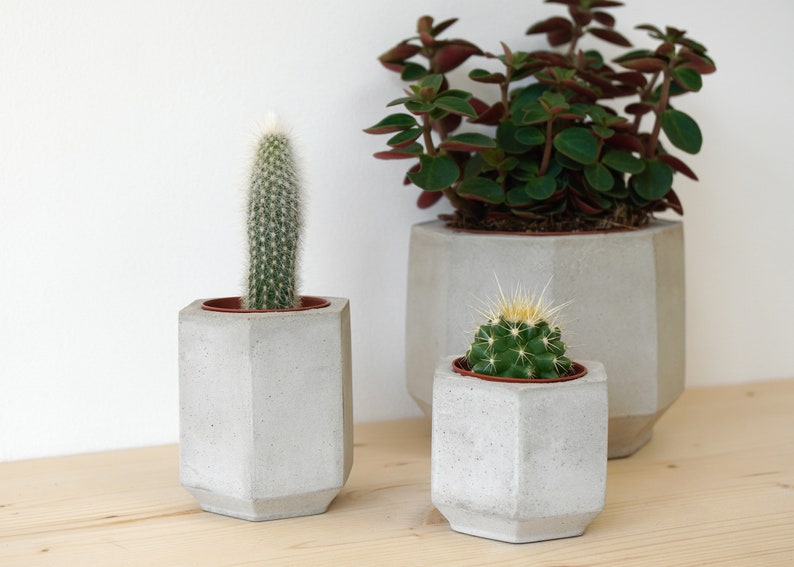 Set of Three Geometric Concrete Planters perfect for Cacti and Etsy