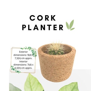 Puede incluir: Un pequeño macetero de corcho con un cactus en su interior. El macetero mide 7,5 cm de alto y 9 cm de diámetro. Las dimensiones interiores son de 6,5 cm de alto y 7 cm de diámetro.