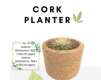 Natural Oak Cork Planter - Unique, Sustainable, and Perfect for Adding a Touch of Nature to Your Home