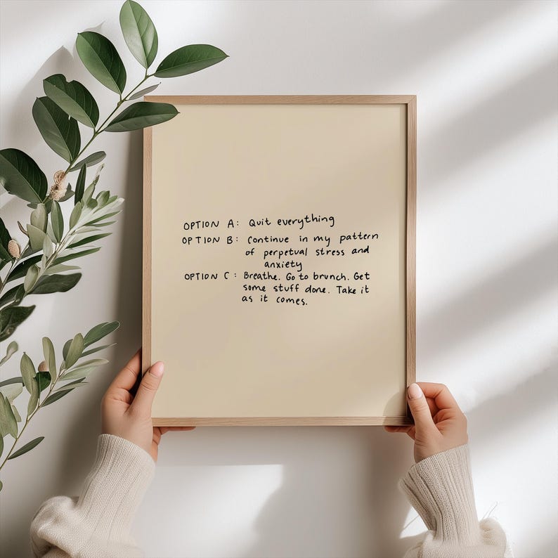 May include: A framed print with a beige background and black handwritten text. The text reads: "OPTION A: Quit everything. OPTION B: Continue in my pattern of perpetual stress and anxiety. OPTION C: Breathe. Go to brunch. Get some stuff done. Take it as it comes."