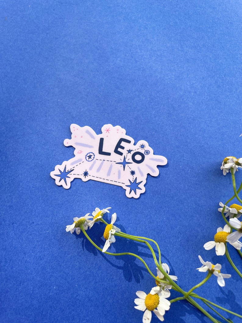 Sticker Names Leo Leo Vinyl Sticker - 3