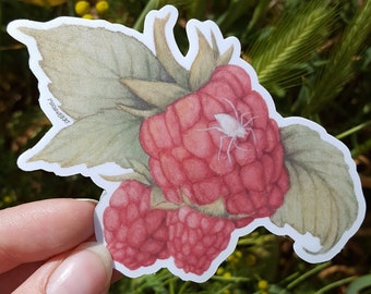 Raspberry Spider Sticker Vinyl cottagecore nature sticker plant fruit sticker fantasy garden watercolor sticker green witch